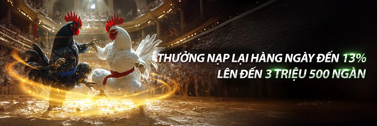 Đá Gà Trực Tuyến VF555 - Sân Chơi Hấp Dẫn