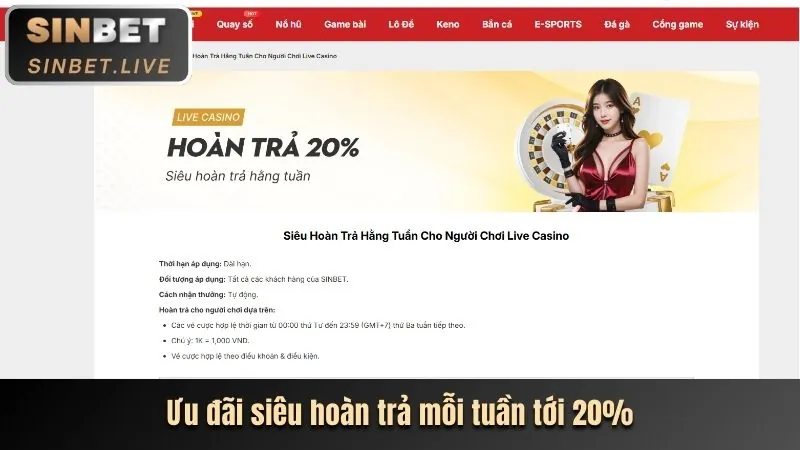 Hoàn trả hàng ngày VF555